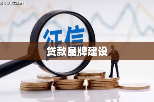 荥经贷款品牌建设