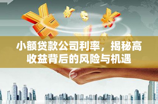 沙坪坝小额贷款公司利率，揭秘高收益背后的风险与机遇