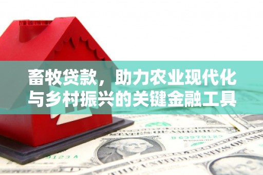 红安畜牧贷款，助力农业现代化与乡村振兴的关键金融工具