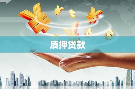 渭源质押贷款