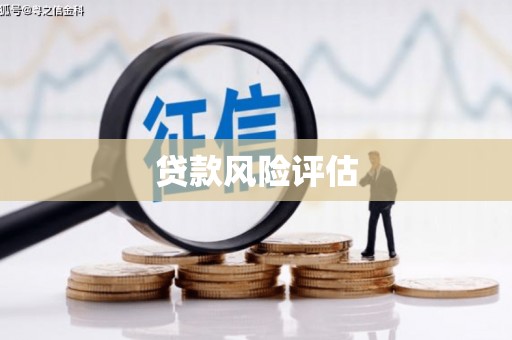 永平贷款风险评估