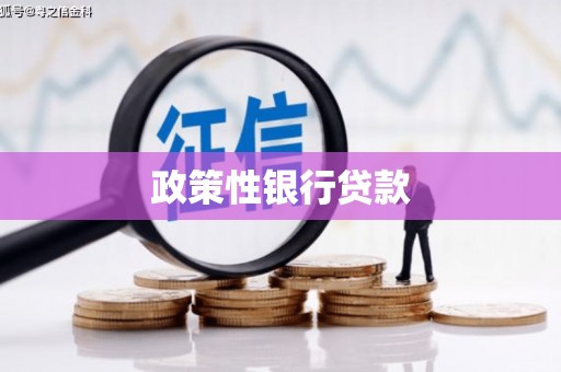 双台子政策性银行贷款