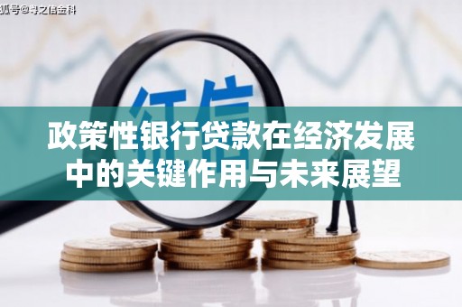 玛家政策性银行贷款在经济发展中的关键作用与未来展望