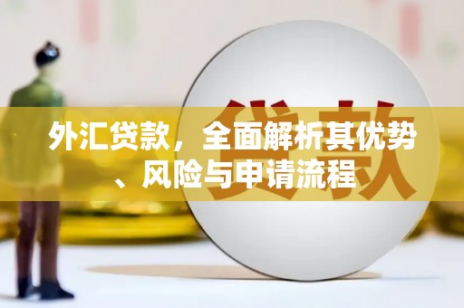 兴隆台外汇贷款，全面解析其优势、风险与申请流程