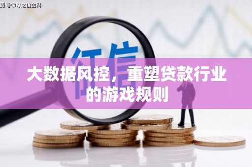 雷州大数据风控，重塑贷款行业的游戏规则