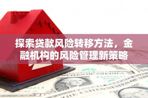 萨嘎探索贷款风险转移方法，金融机构的风险管理新策略