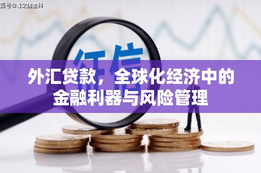 信州外汇贷款，全球化经济中的金融利器与风险管理