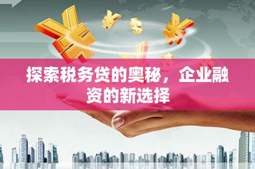 屏边探索税务贷的奥秘，企业融资的新选择