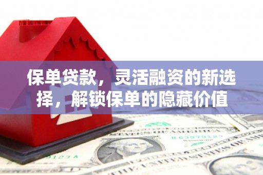 阿拉山口保单贷款，灵活融资的新选择，解锁保单的隐藏价值