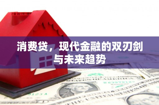 泽普消费贷，现代金融的双刃剑与未来趋势