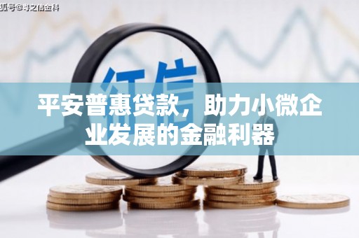 临湘平安普惠贷款，助力小微企业发展的金融利器