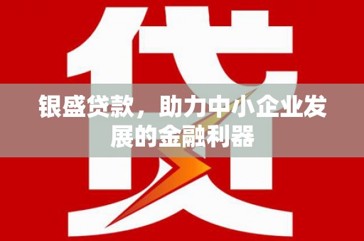贞丰银盛贷款，助力中小企业发展的金融利器