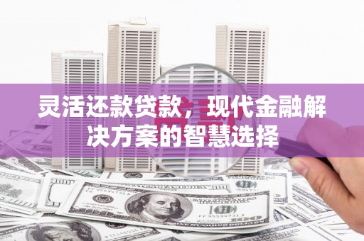 禄丰灵活还款贷款，现代金融解决方案的智慧选择