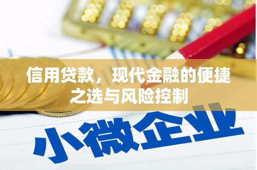 上林信用贷款，现代金融的便捷之选与风险控制