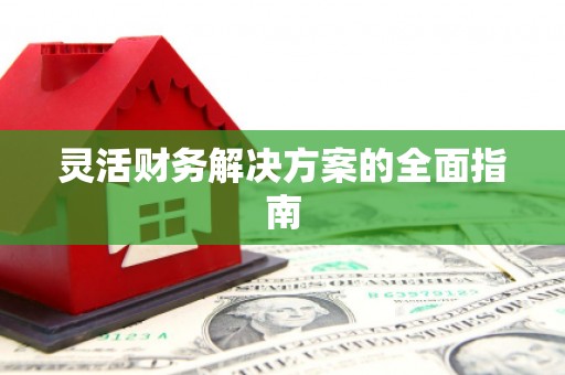 凤凰灵活财务解决方案的全面指南