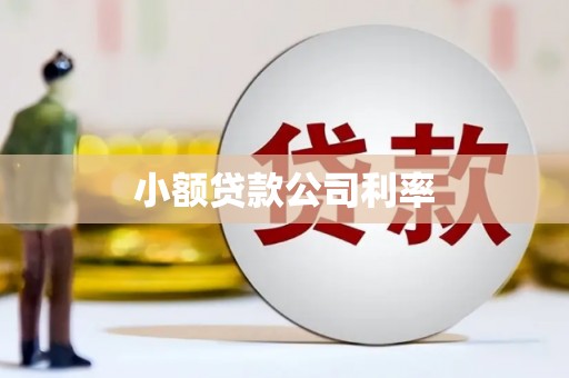 宜君小额贷款公司利率