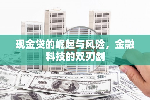 丰顺现金贷的崛起与风险，金融科技的双刃剑