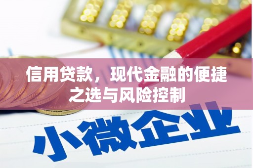 横山信用贷款，现代金融的便捷之选与风险控制