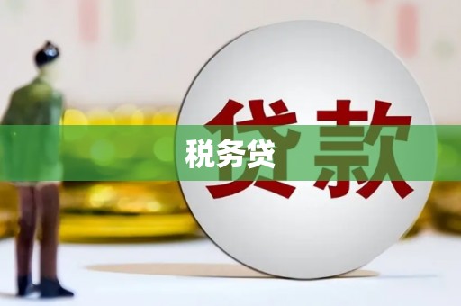 柳州税务贷
