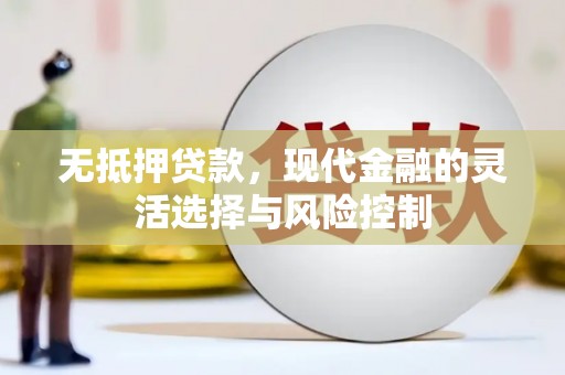左云无抵押贷款，现代金融的灵活选择与风险控制