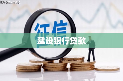 新蔡建设银行贷款