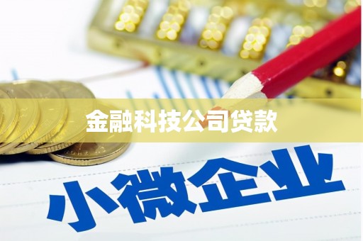 旬阳金融科技公司贷款