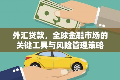 凤岗外汇贷款，全球金融市场的关键工具与风险管理策略
