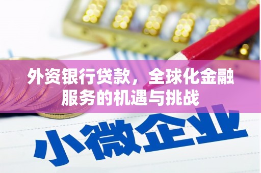 宁夏外资银行贷款，全球化金融服务的机遇与挑战