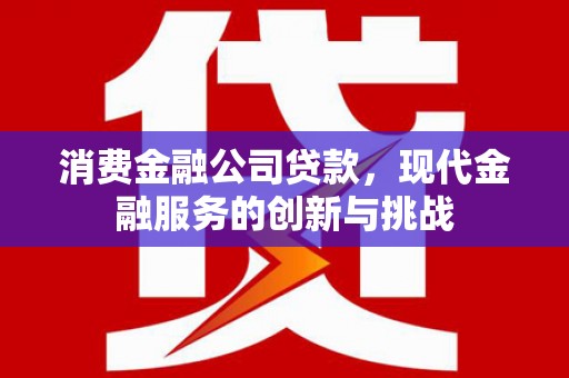 玄武消费金融公司贷款，现代金融服务的创新与挑战