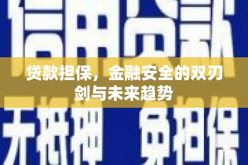 丰顺贷款担保，金融安全的双刃剑与未来趋势