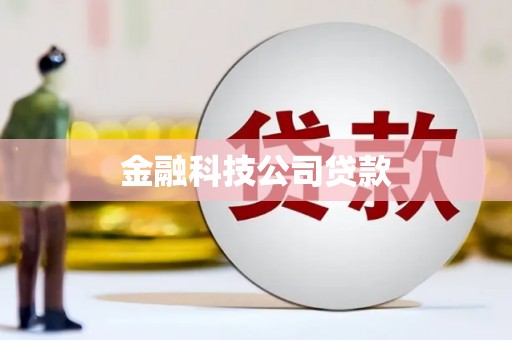 合山金融科技公司贷款