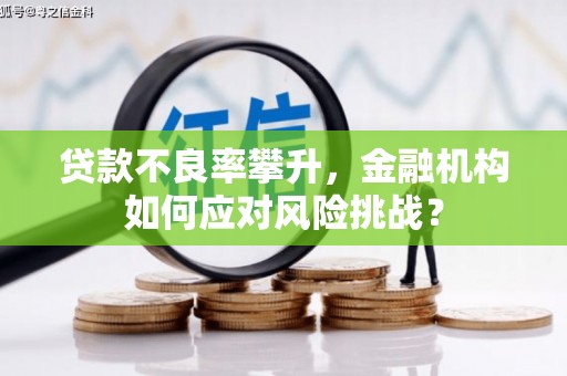 岷县贷款不良率攀升，金融机构如何应对风险挑战？