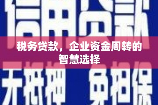 麟游税务贷款，企业资金周转的智慧选择
