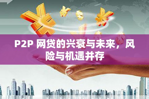 泸溪P2P 网贷的兴衰与未来，风险与机遇并存