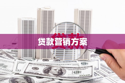 东西湖贷款营销方案