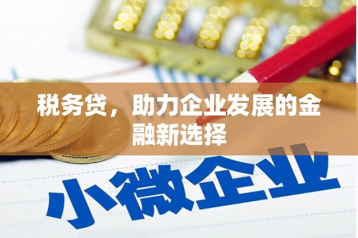 西华税务贷，助力企业发展的金融新选择