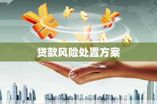 洞头贷款风险处置方案