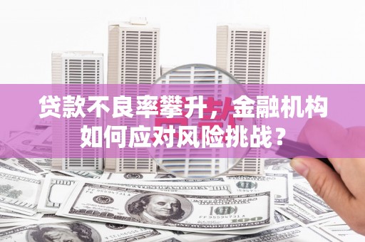 兴和贷款不良率攀升，金融机构如何应对风险挑战？
