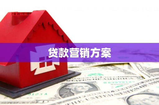 陆丰贷款营销方案