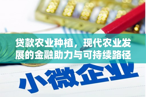 乌来贷款农业种植，现代农业发展的金融助力与可持续路径