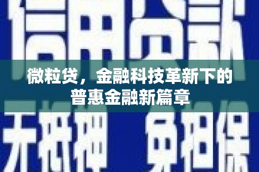岱山微粒贷，金融科技革新下的普惠金融新篇章