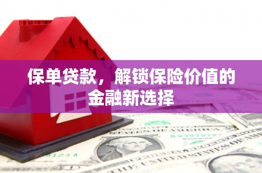 黑水保单贷款，解锁保险价值的金融新选择