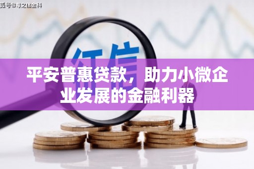 墨江平安普惠贷款，助力小微企业发展的金融利器