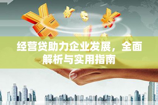 沂南经营贷助力企业发展，全面解析与实用指南