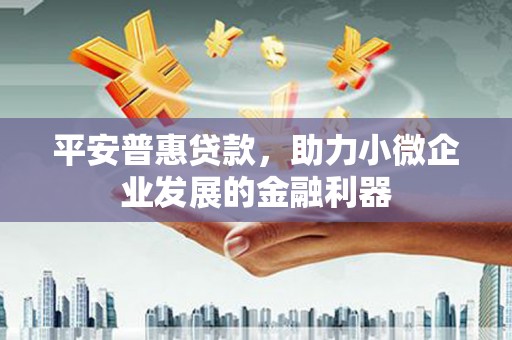 邵阳县平安普惠贷款，助力小微企业发展的金融利器