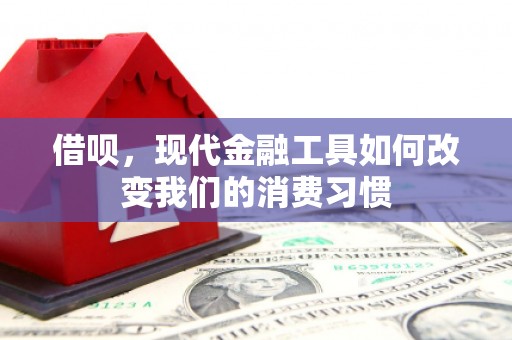 海盐借呗，现代金融工具如何改变我们的消费习惯