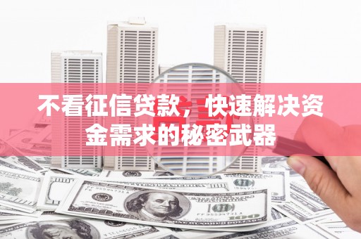 云梦不看征信贷款，快速解决资金需求的秘密武器