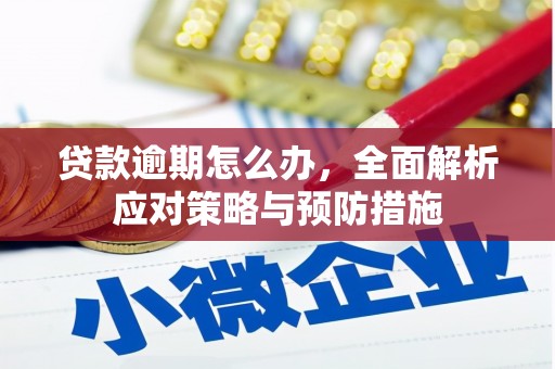 新巴尔虎左旗贷款逾期怎么办，全面解析应对策略与预防措施