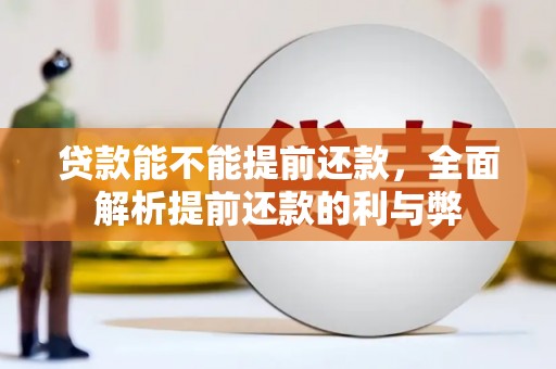 湖北贷款能不能提前还款，全面解析提前还款的利与弊