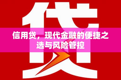 合水信用贷，现代金融的便捷之选与风险管控